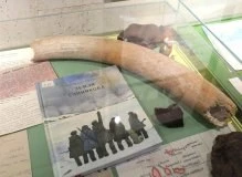 Просветительский проект «Арктика рядом»