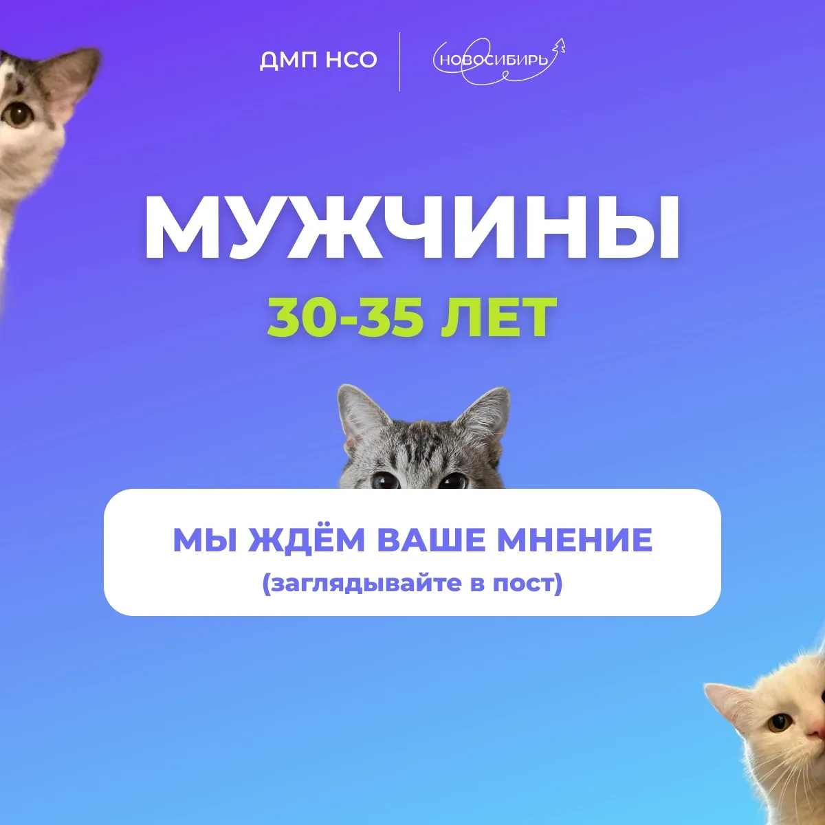 Мужчины, ну вы где? 👀