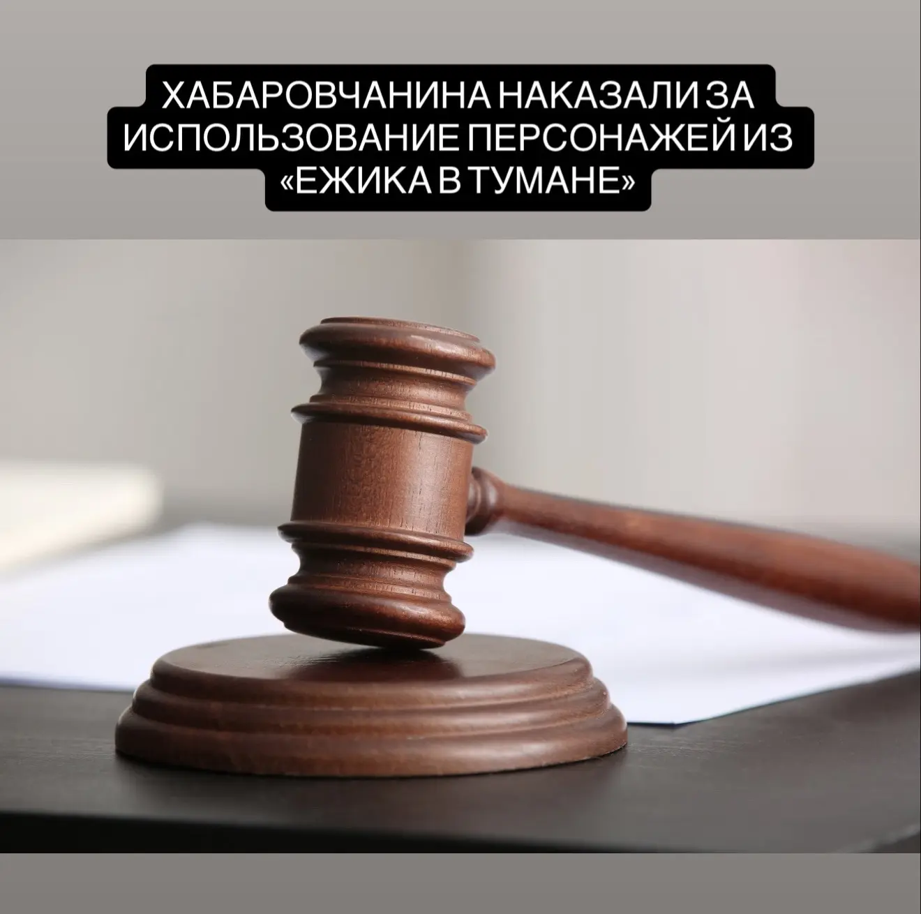 Хабаровчанина обязали выплатить 100 тысяч рублей за использование образов героев «Ёжика...