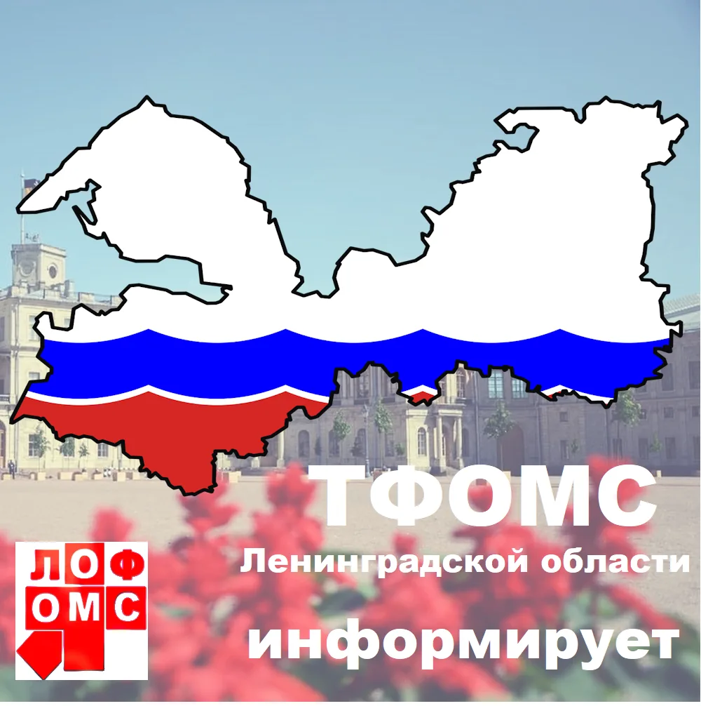 В Территориальный фонд обязательного медицинского страхования Ленинградской области пос...