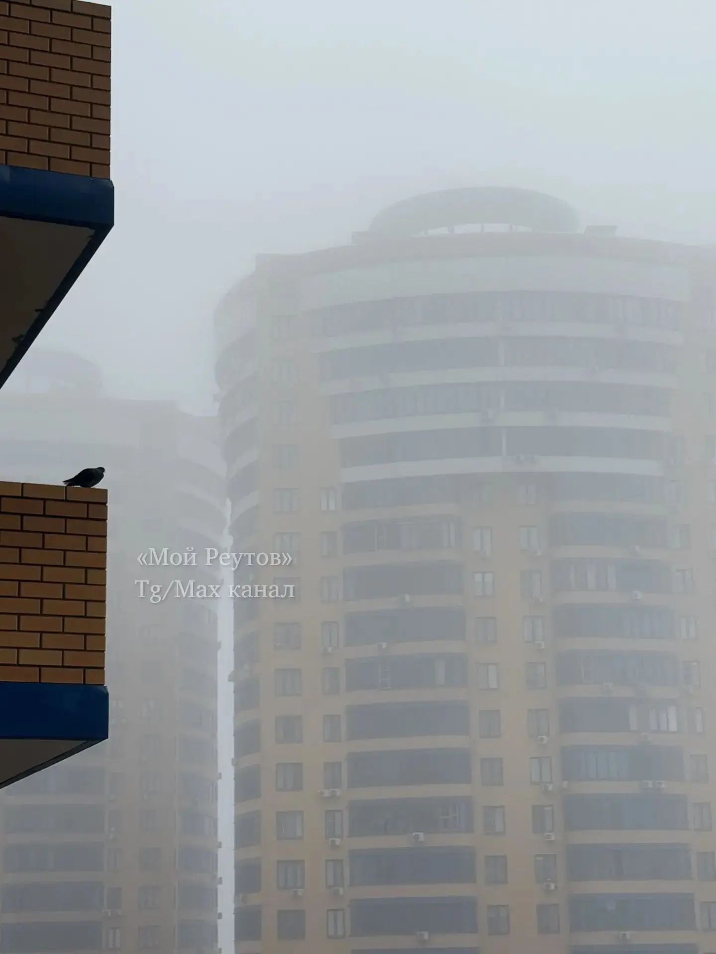 ☁ "Да… погодка нелетная"