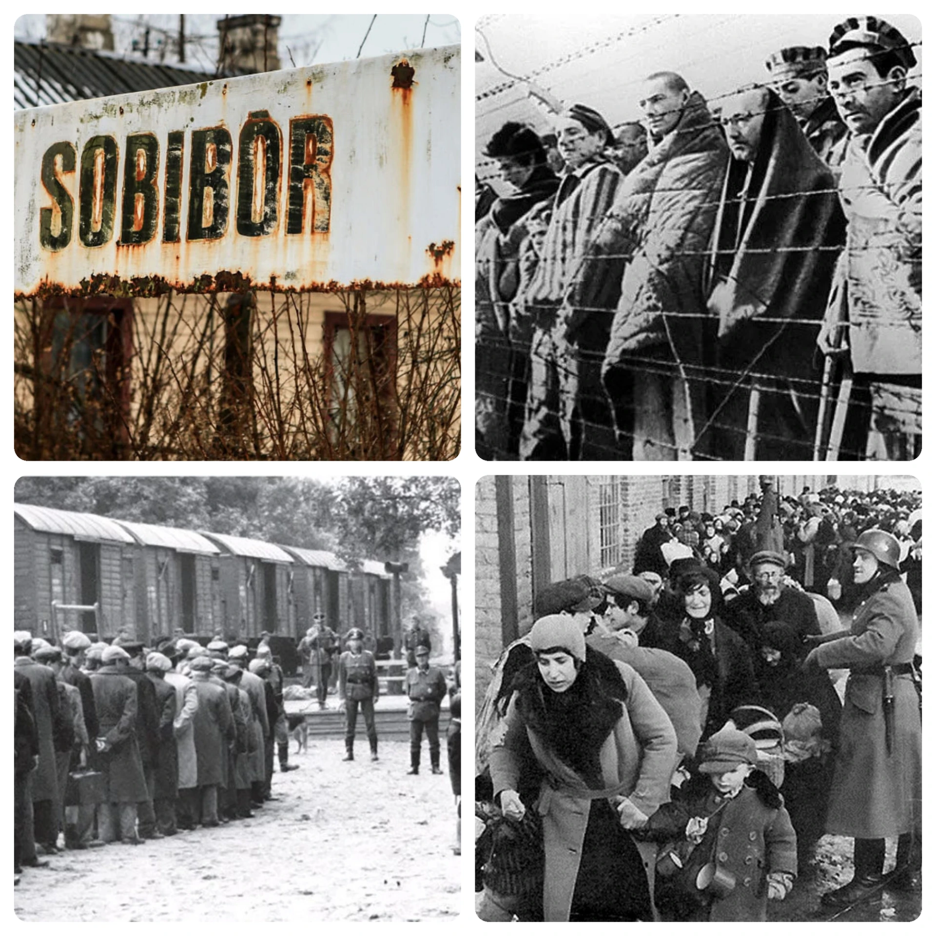 СОБИБОР.