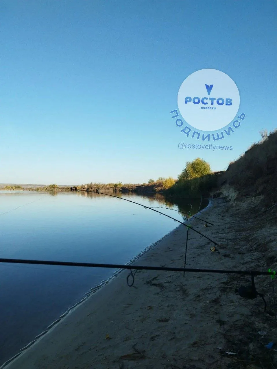 🐟 Рыба в Дону стала хуже размножаться
