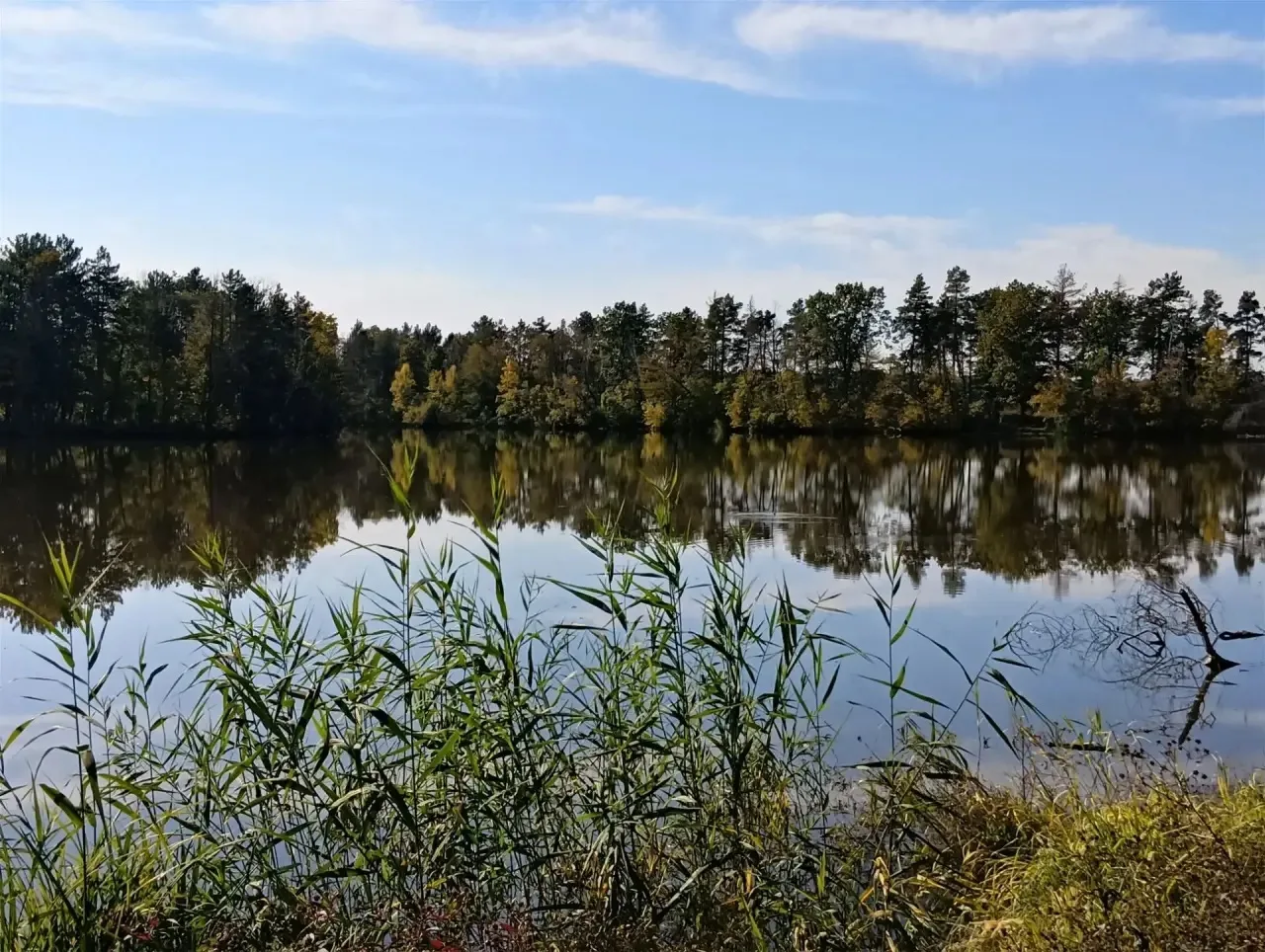 В рамках международного туризма, семейная чета Гумен, туристов из Барселоны, посетила в...