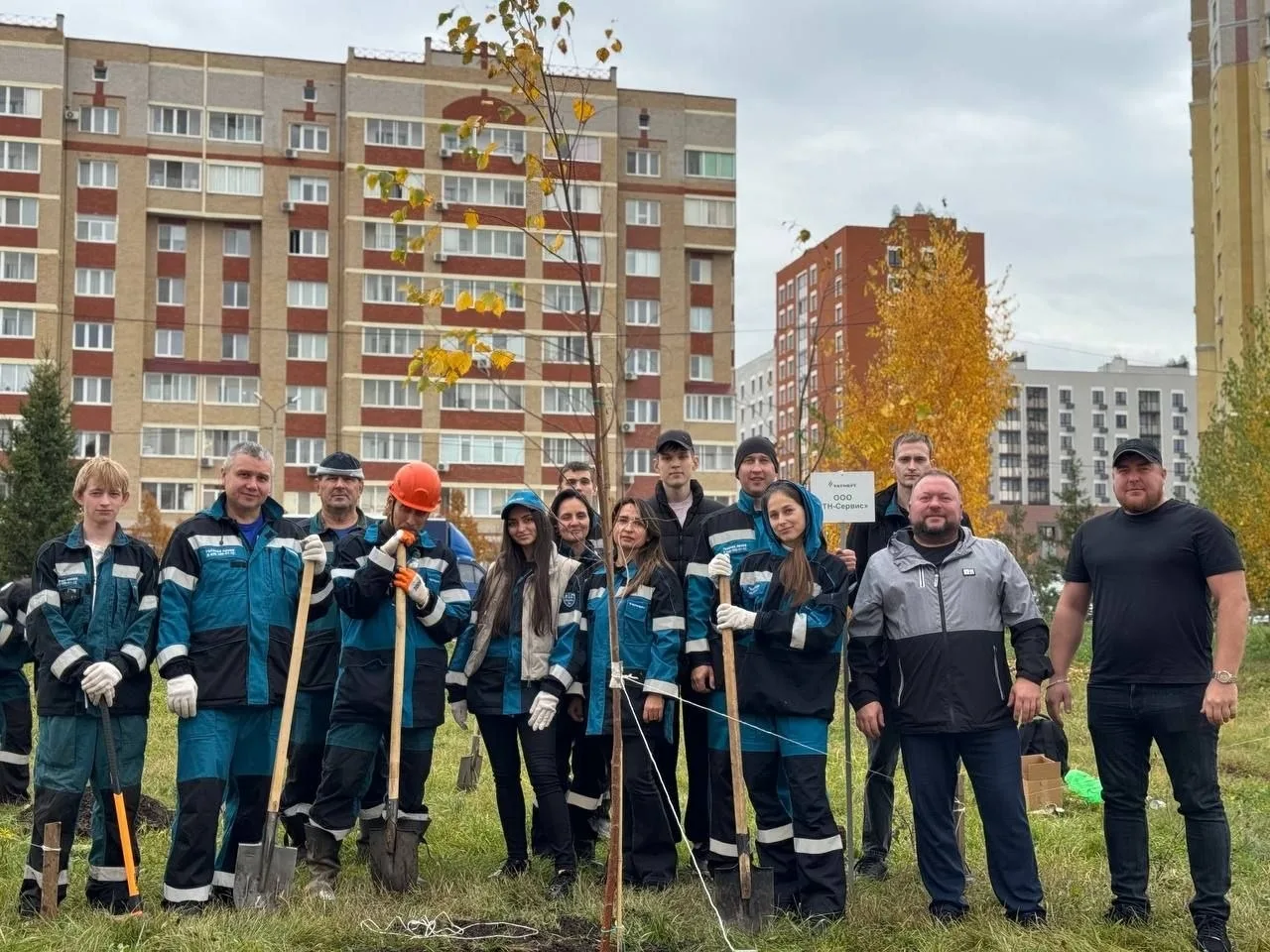 Озеленяют аллею на улице Аминова в Альметьевске