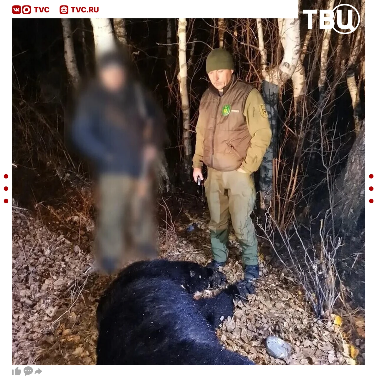 Медведя, выходившего к селу в Забайкалье, застрелили охотники