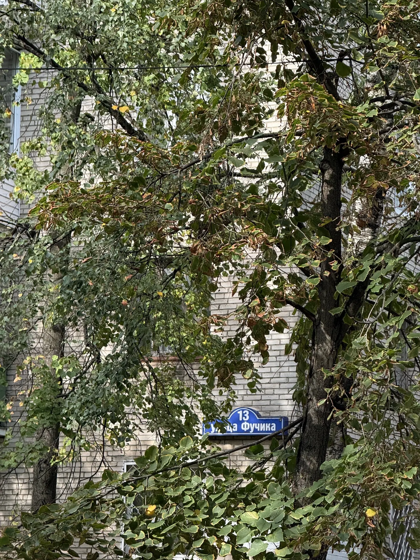 📍Мкр. Южный 🏡🍂🍁