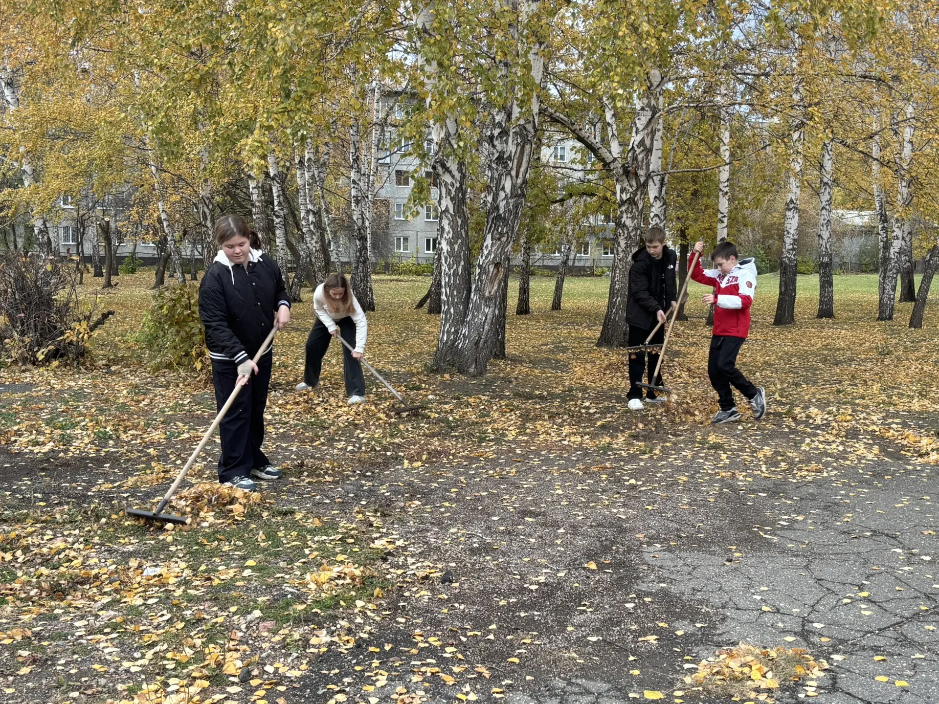 🍂Чистота начинается с нас!