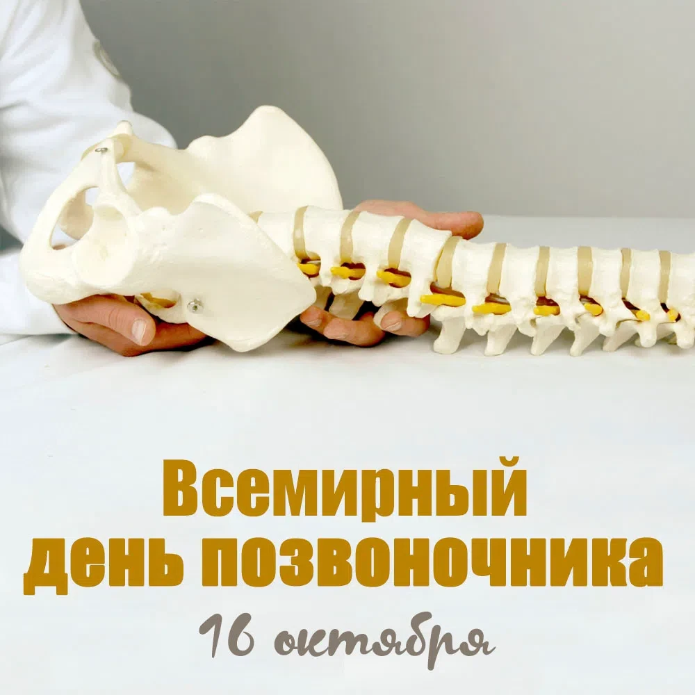 💢Всемирный день позвоночника (World Spine Day) отмечается ежегодно 16 октября.