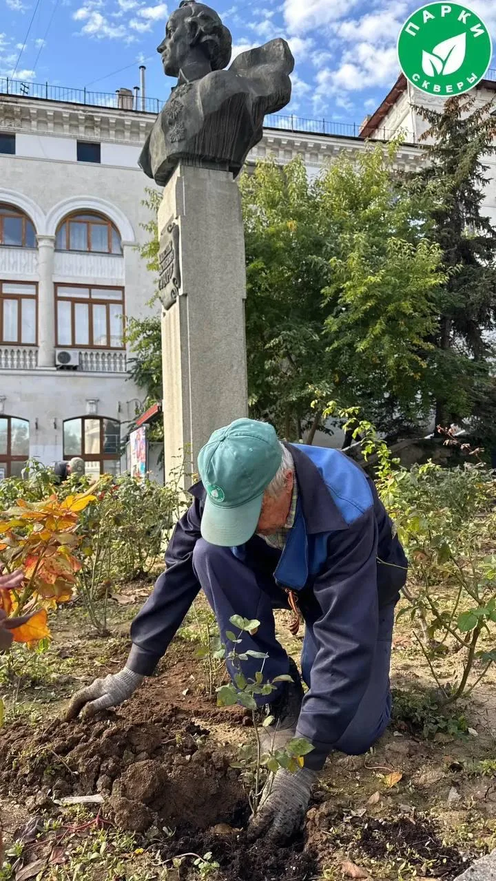 🌹Новые розы украсят площадь Суворова
