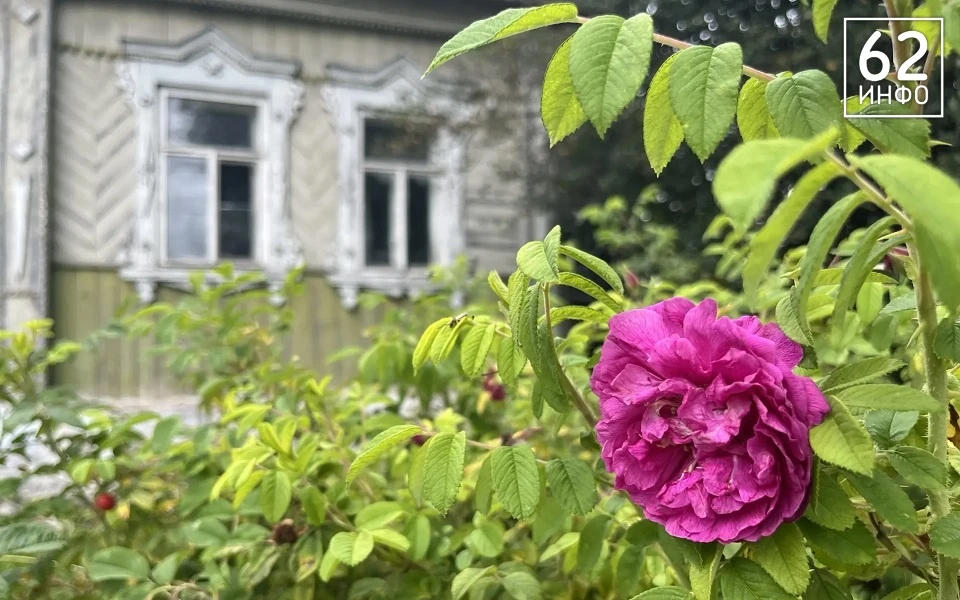 🌺 Погреться еще успеем.