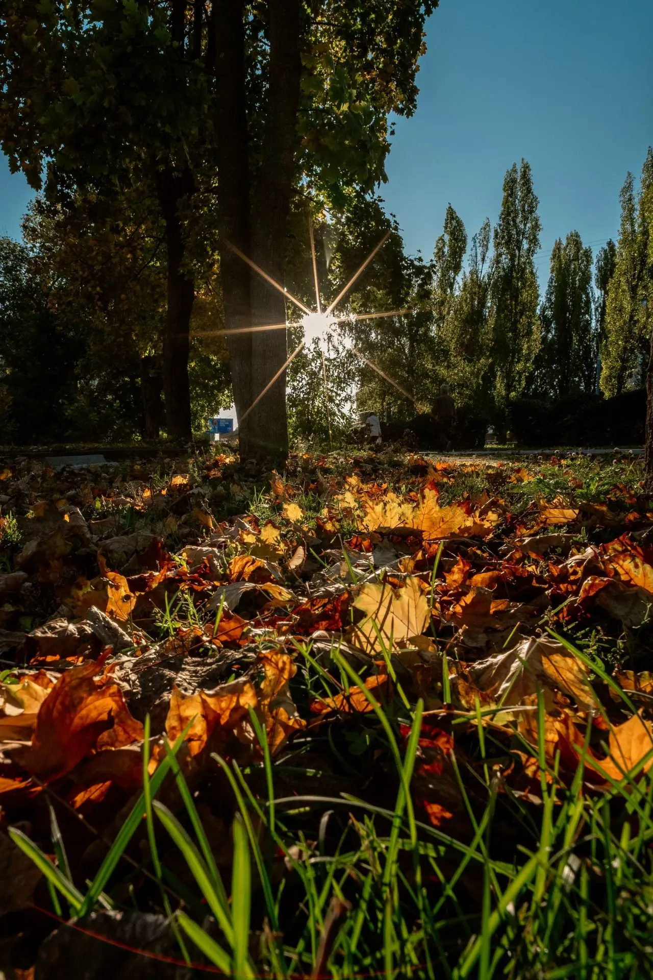 🍂Продолжаем насыщать вас осенним вайбом