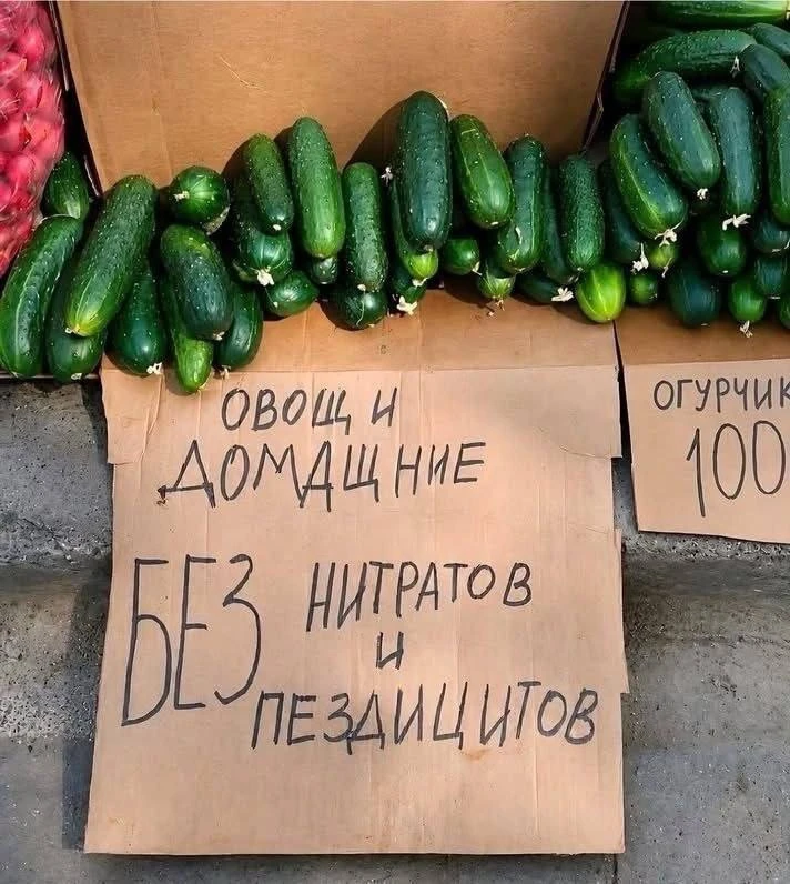 Подпишись на Весёлого Душнилу