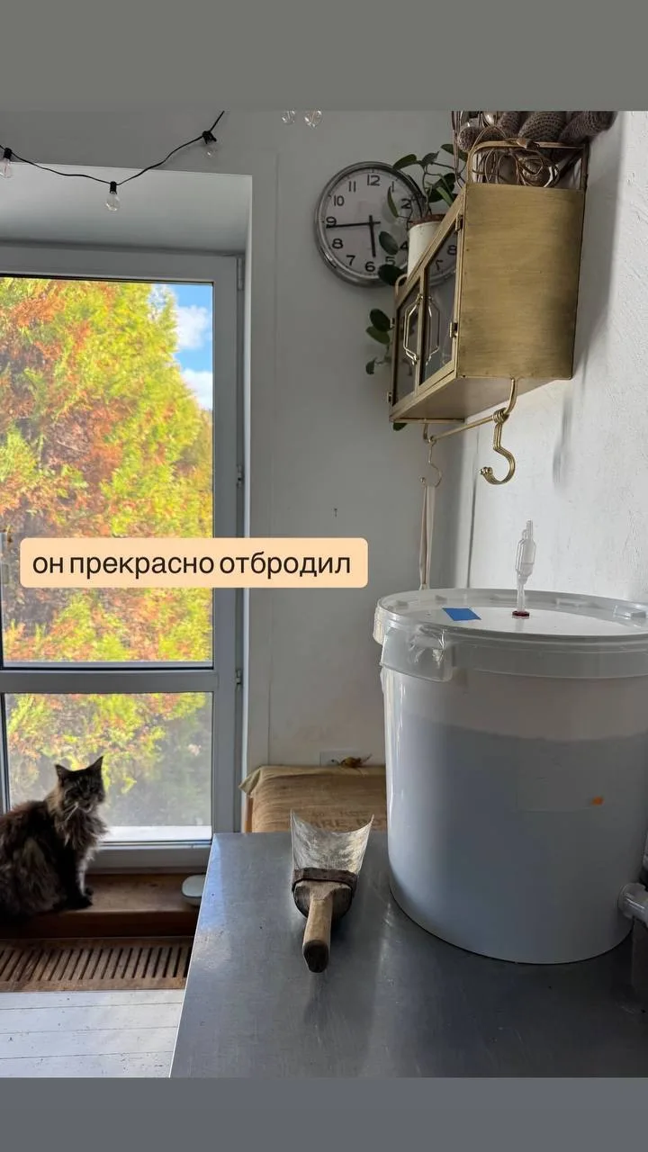 Не отчиталась.) сидр -готов 👌