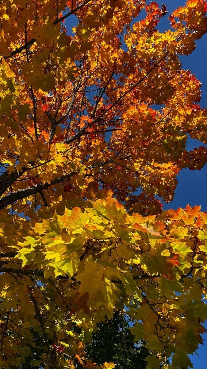 🍂 Доброе утро!