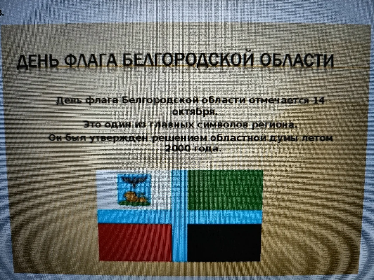 День флага Белгородской области: классный час в 4 «Б»!