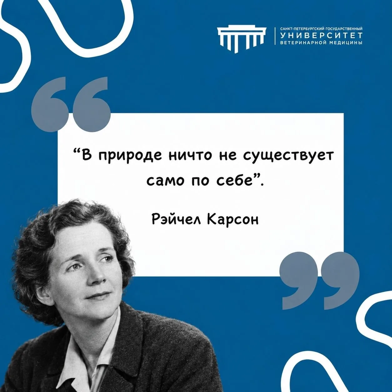 #фразадня #СПбГУВМ