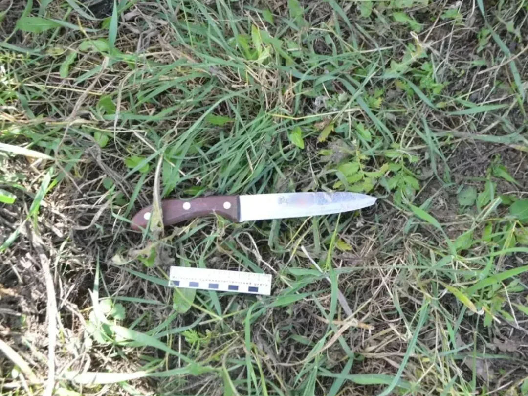 😨 В Салаватском районе женщина ударила сожителя ножом в грудь из-за трактора