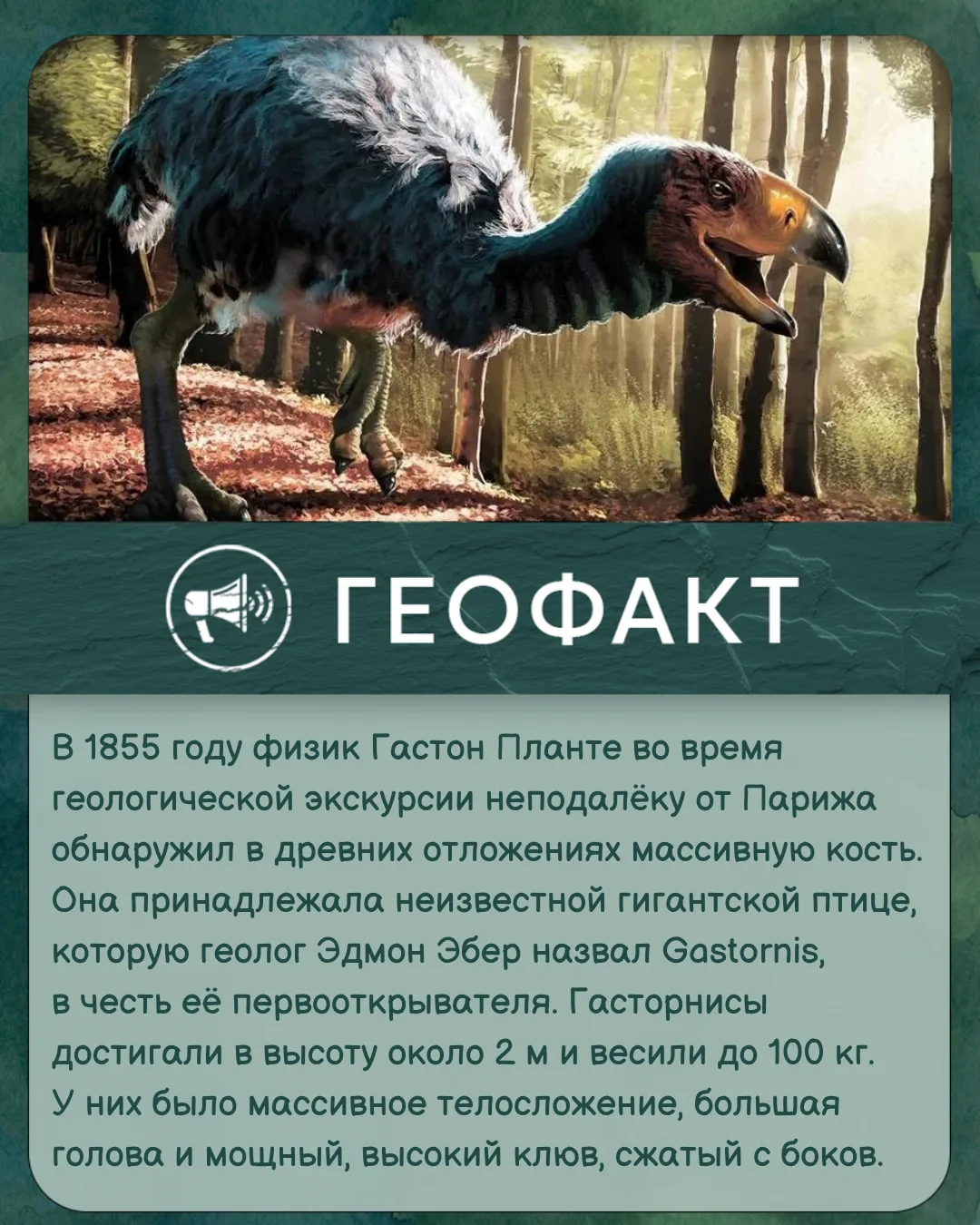 #геофакт