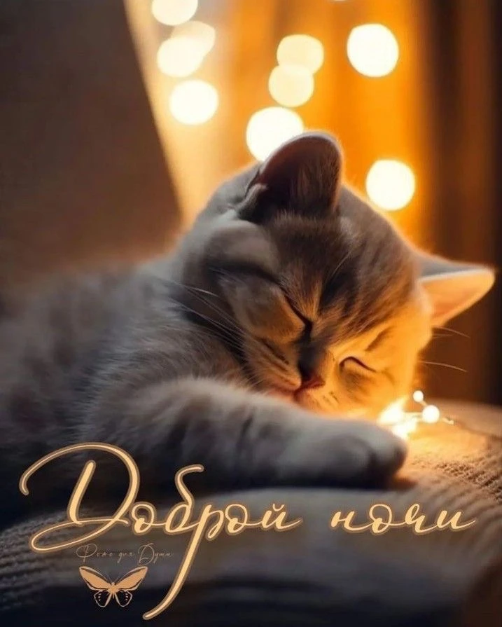 Красивые открытки❤️
