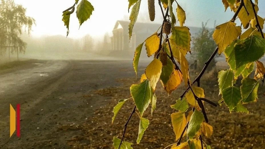 Ночью Воронежскую область окутает туман