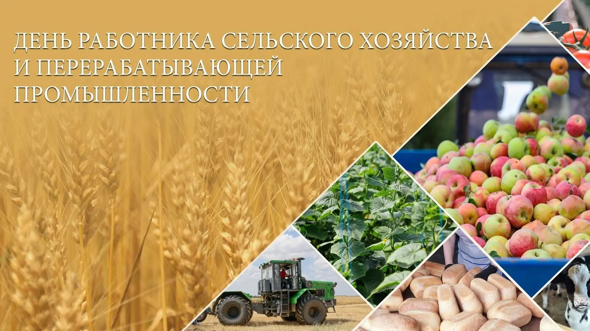 ‼️Уважаемые работники сельского хозяйства и перерабатывающей промышленности!
