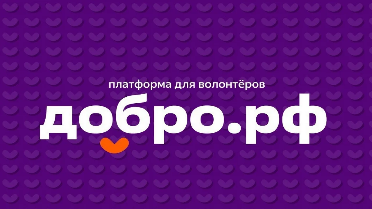 💜 Платформа Добро.рф или экосистема волонтёрского комьюнити