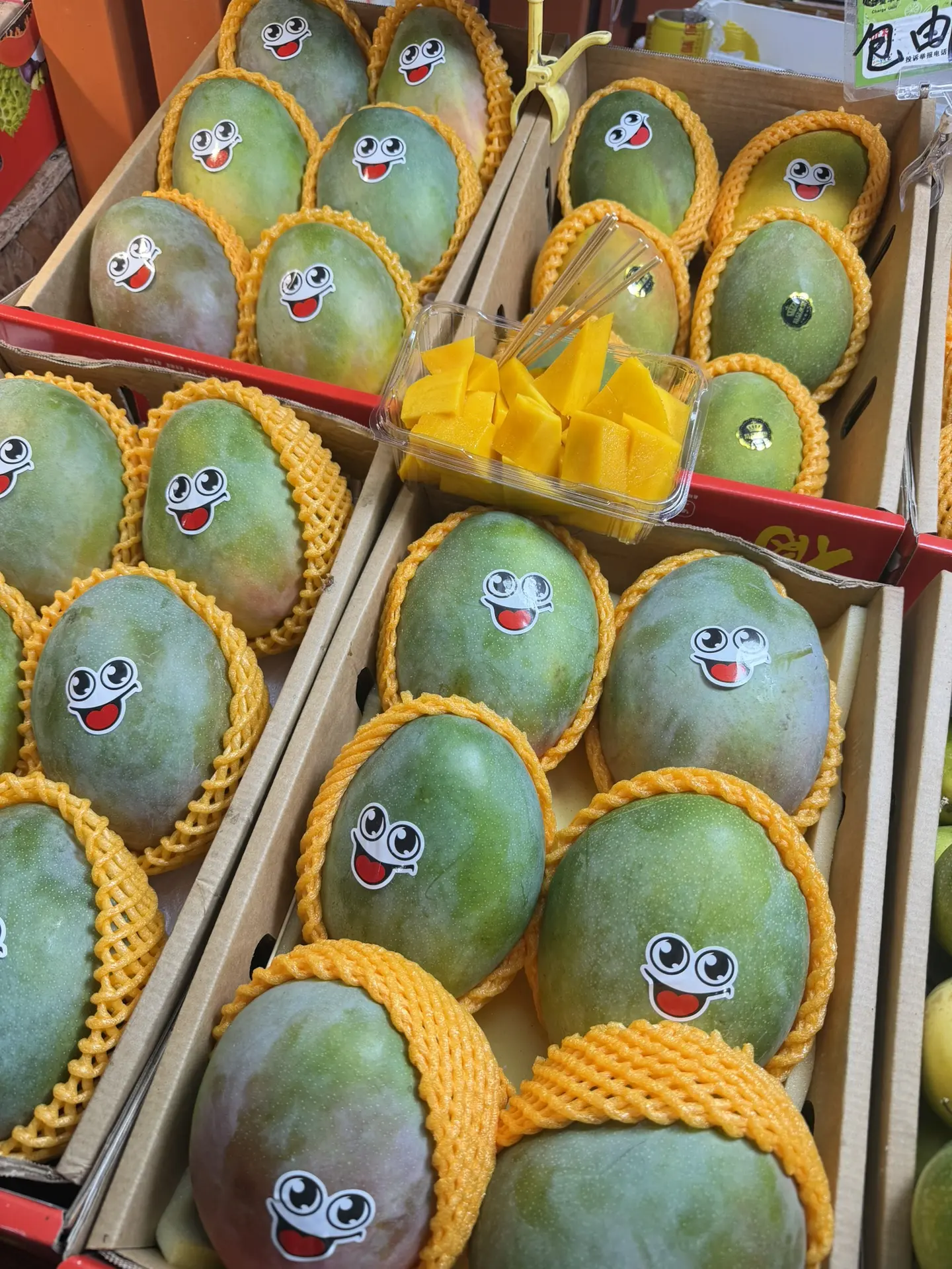 Микс туров на ноябрь🌴
