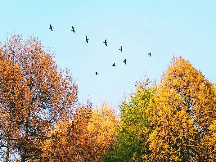 Доброе утро, Курский район!☀