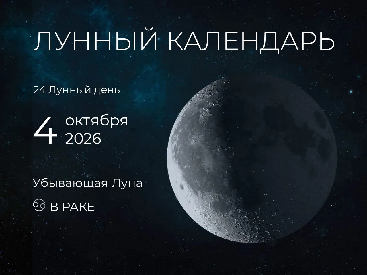 📆 Рекомендации дня: