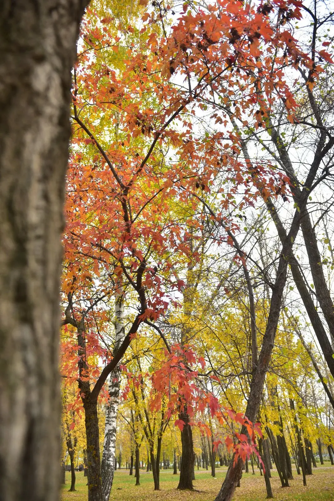 Доброе утро, Набережные Челны! 🍁🍂