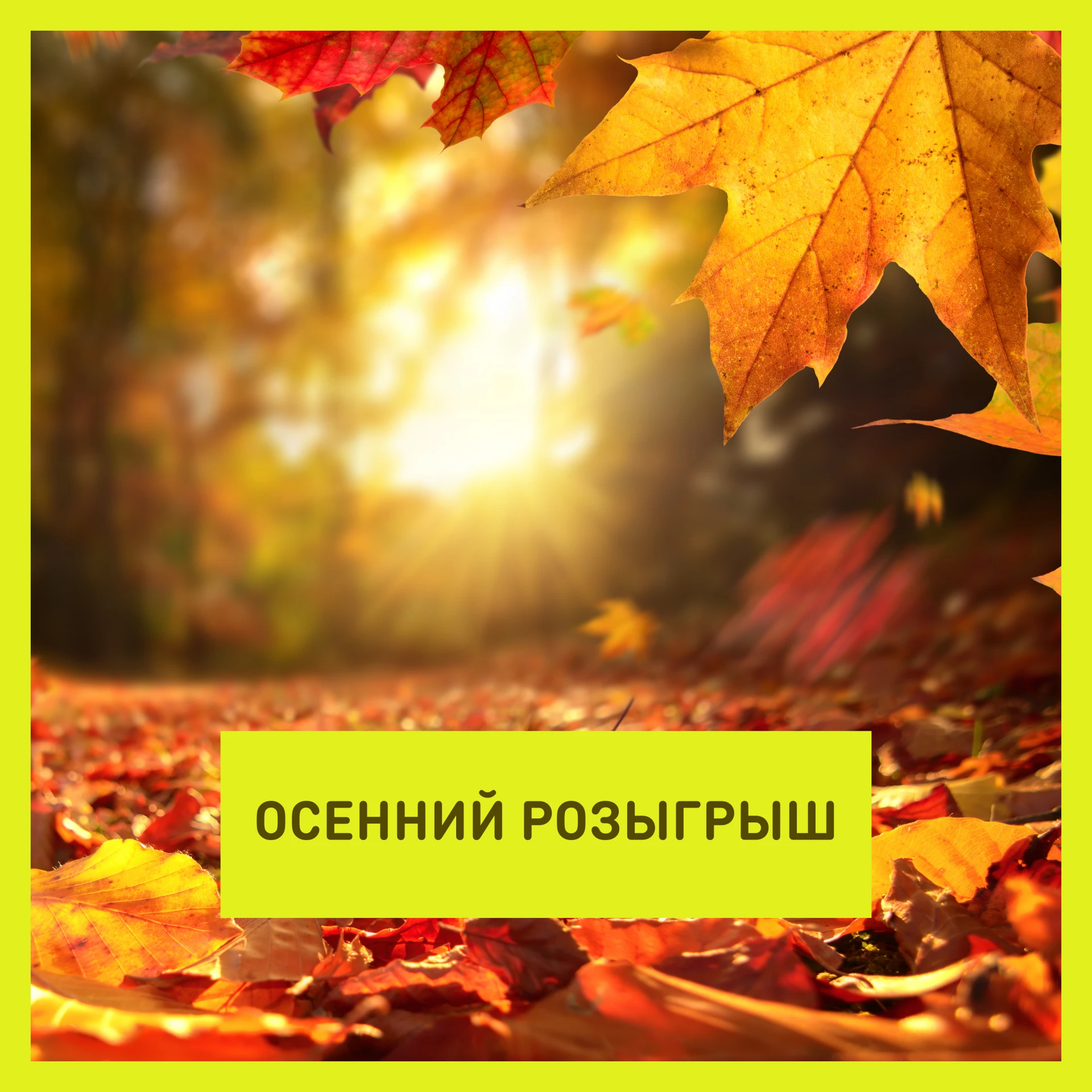 Осенний розыгрыш подарков для жителей  🍁
