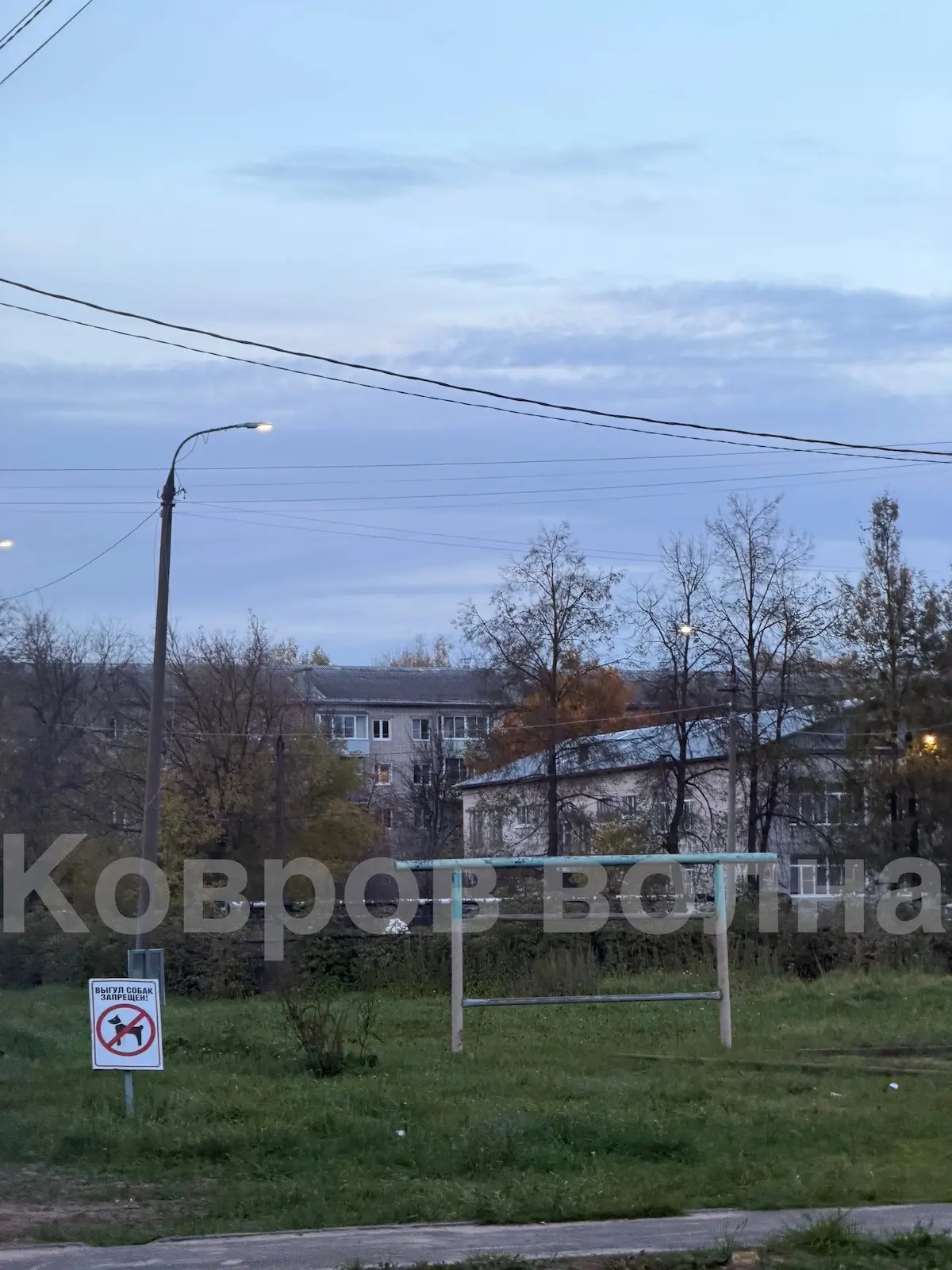 ЗАПРЕТ НА ВЫГУЛ СОБАК ВО ДВОРЕ 🧐 ПОРЯДОК ИЛИ НЕУДОБСТВО? ❗️ Обсудим?