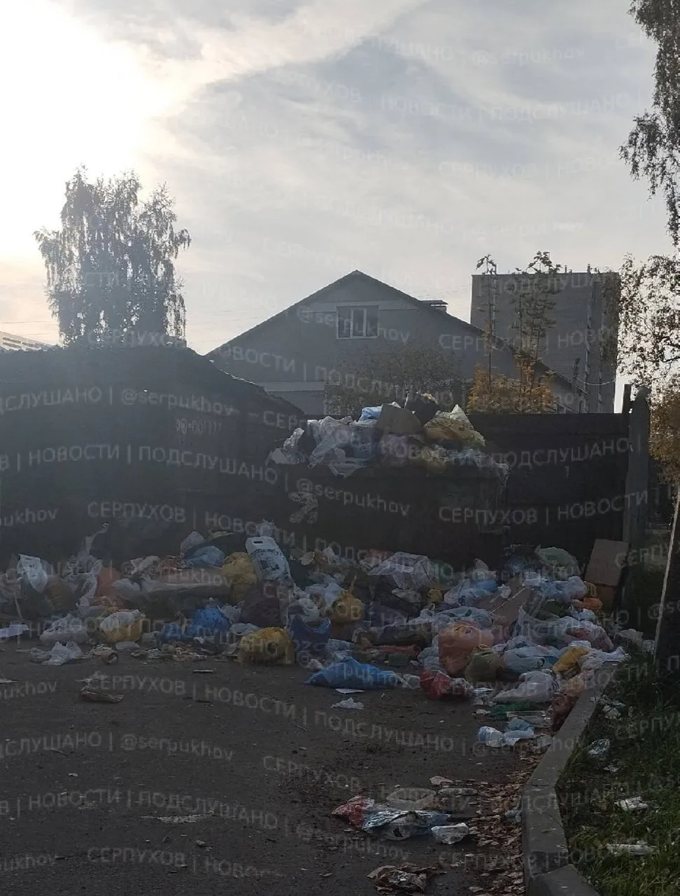 Два сообщения о мусоре в Большевике