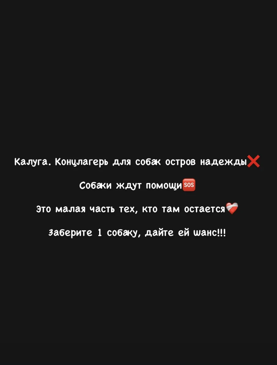 Калуга, концлагерь Остров надежды❌ Там остается в заключении сотни собак! Им нужна помо...