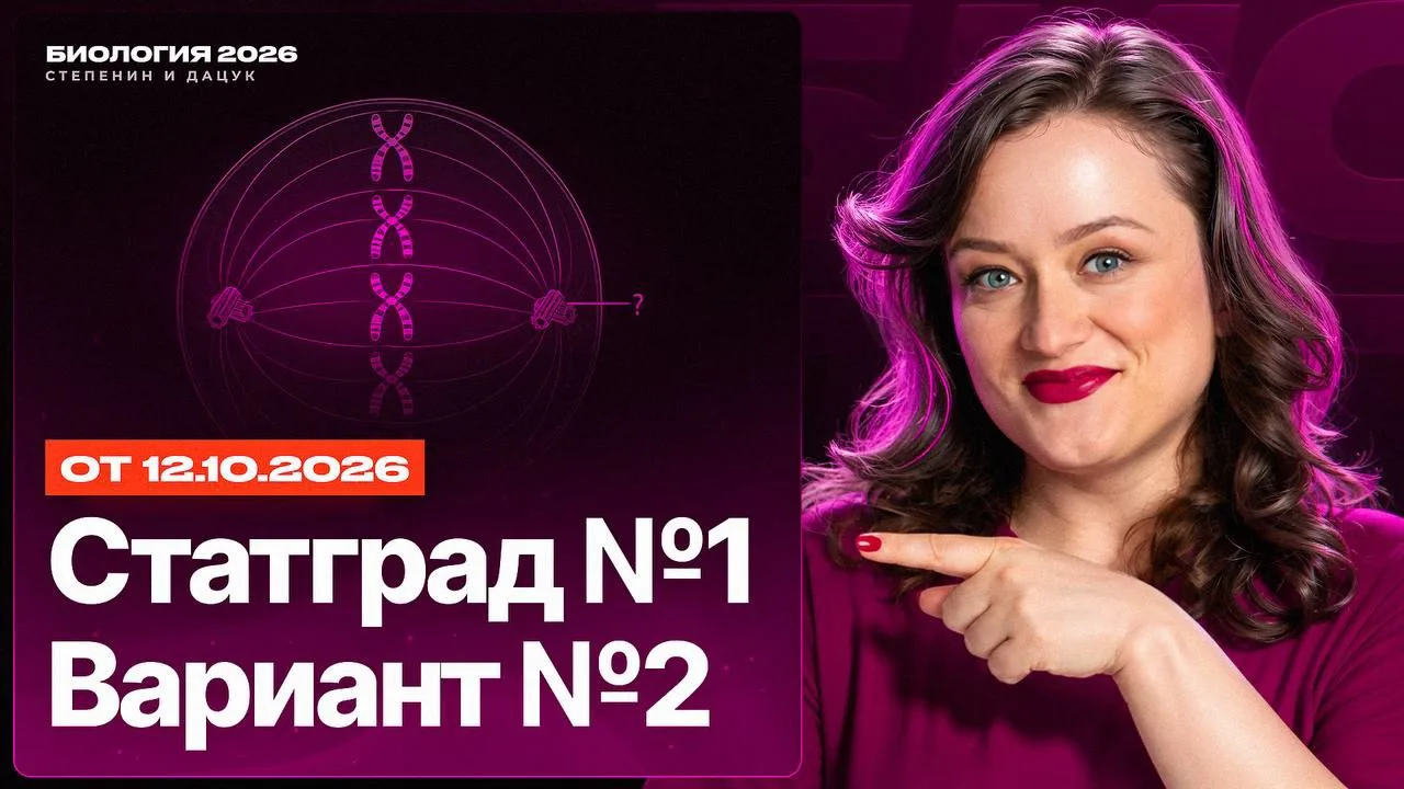 🔥 Через 15 минут — Вариант №2 от СтатГрад!