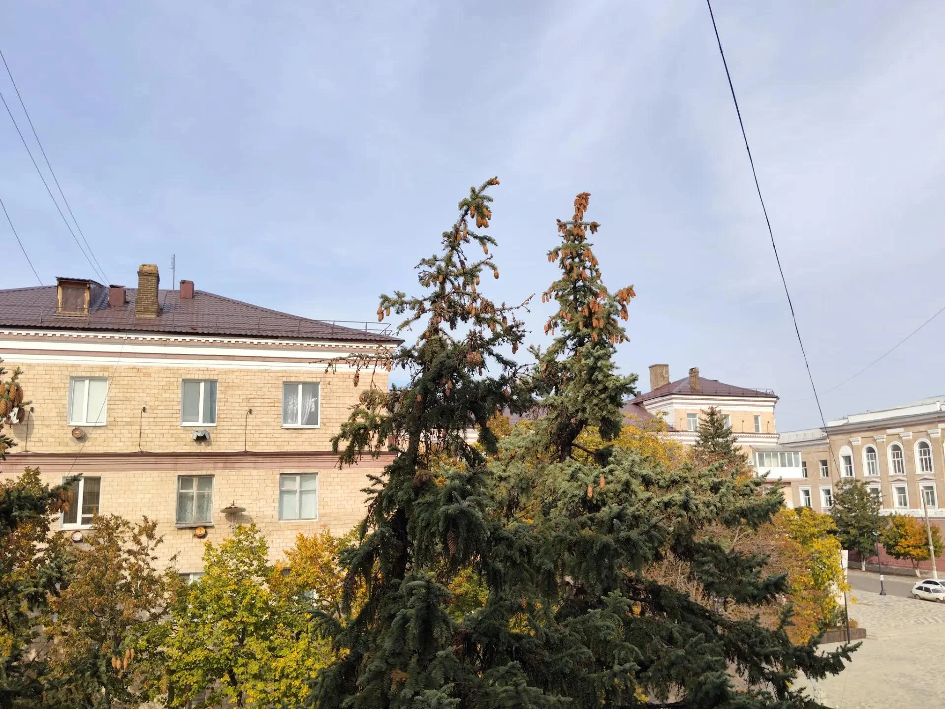 В Амвросиевке обновляется центральная улица города – улица Ленина