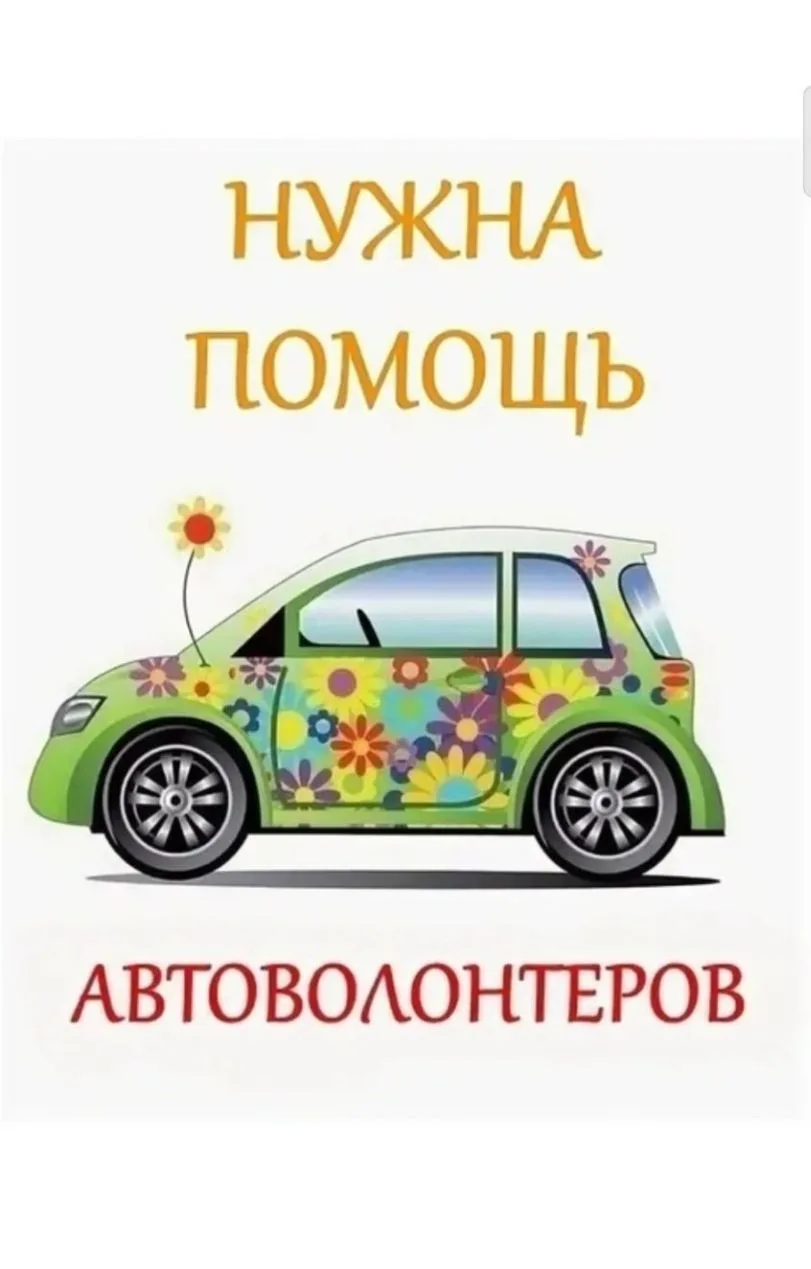 Нужна помощь автоволонтера, съездить сегодня-завтра в сторону Черемисиново, отвезти кор...