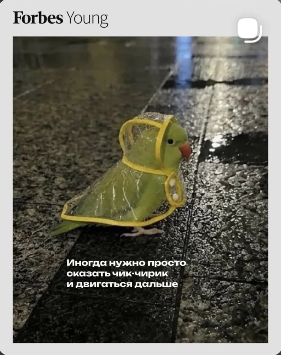 Подпишись на Кринжулю 👉🏻 в TG, в VK и в Макс