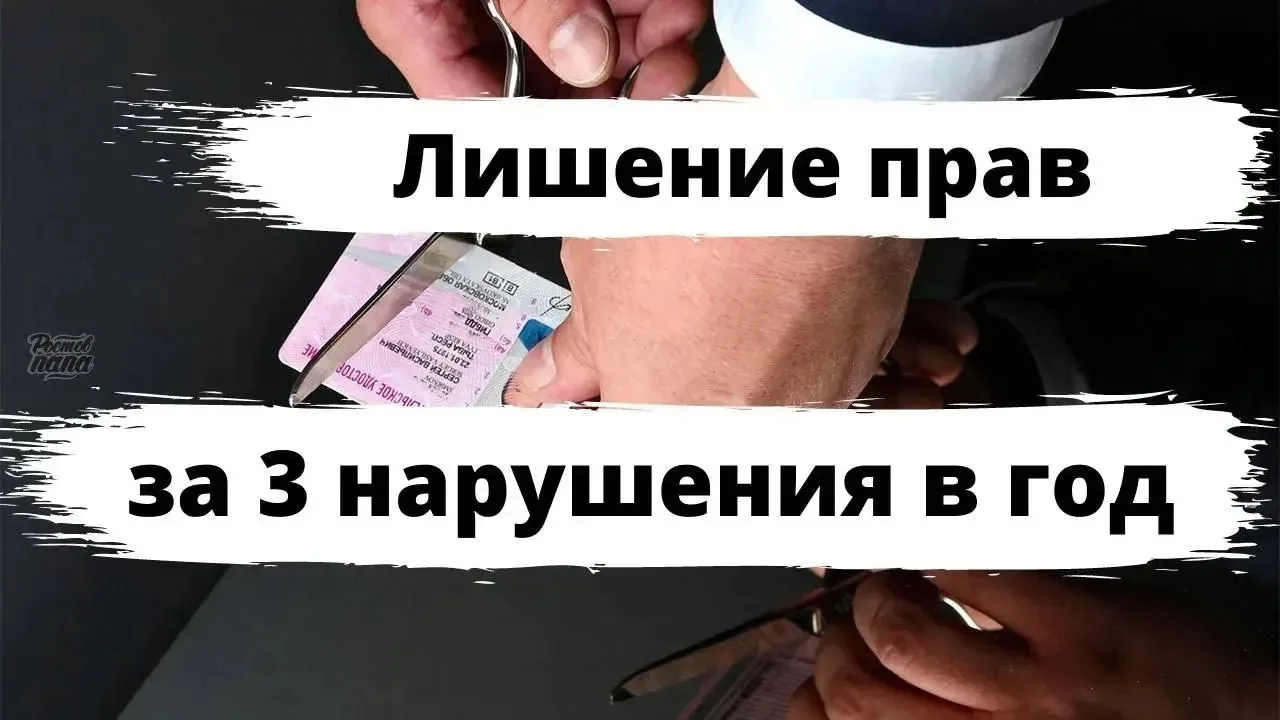 🚗 Водителей хотят лишать прав за частые нарушения!