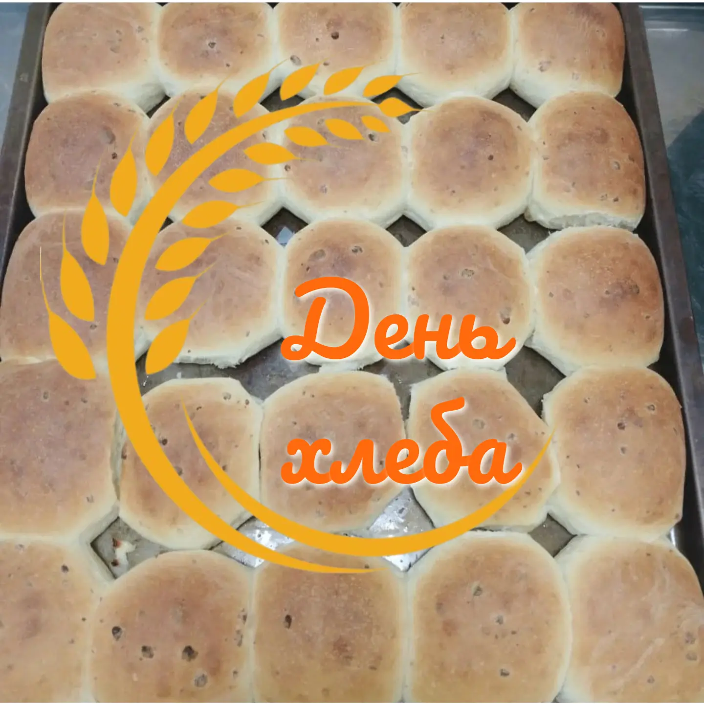 🍞"День хлеба" в группе "Зайчики" не вместится в один день! А к 16 октября проект как р...