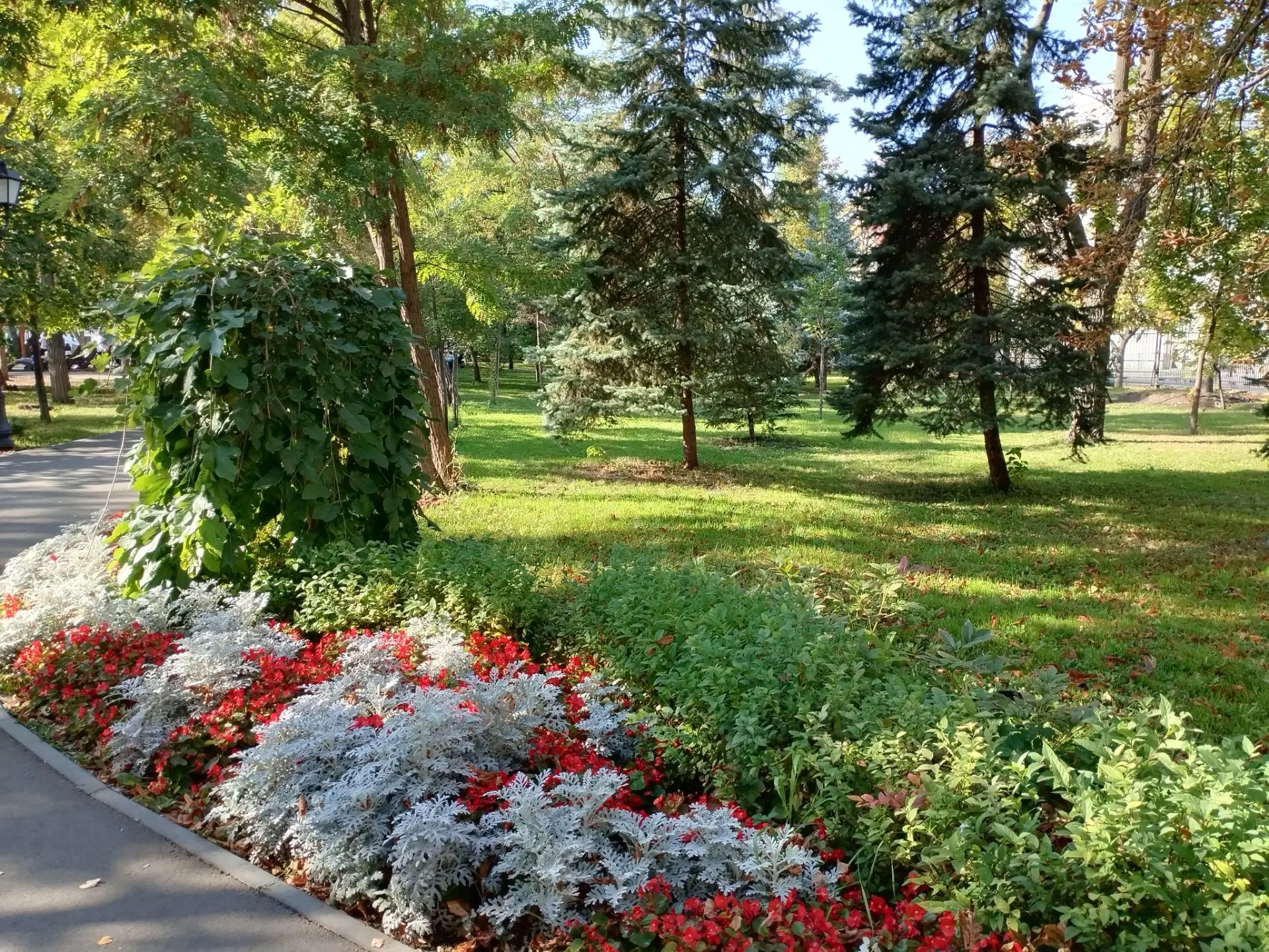 Осенний будний день 🍁