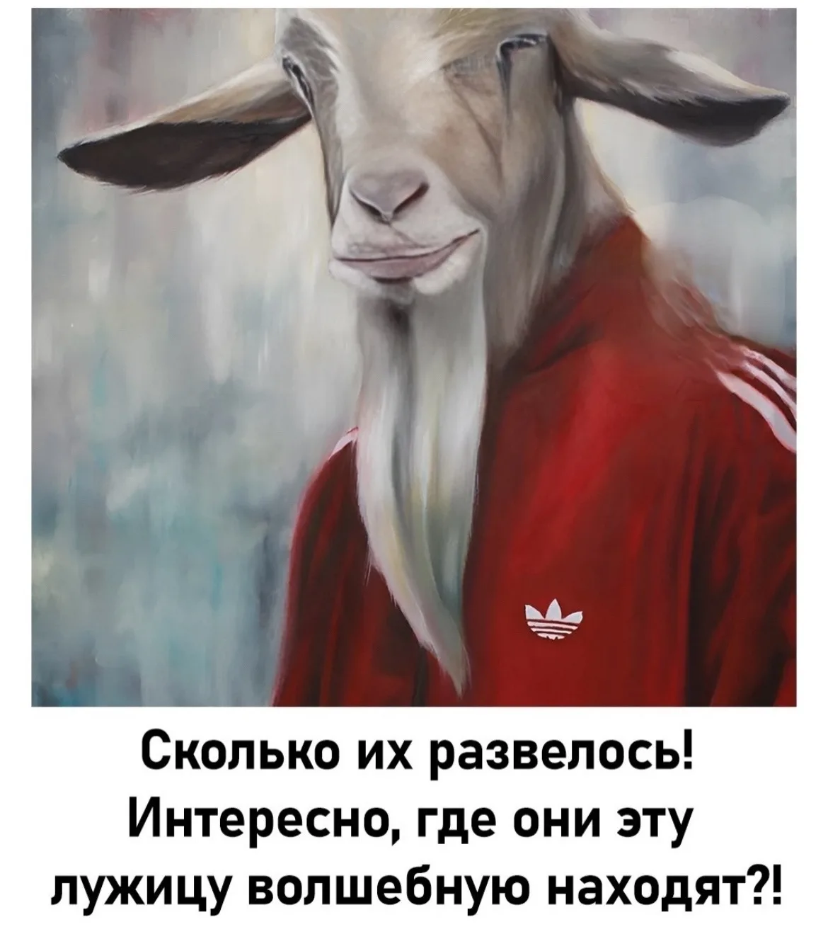 Так. Пора  им дать имена 😂