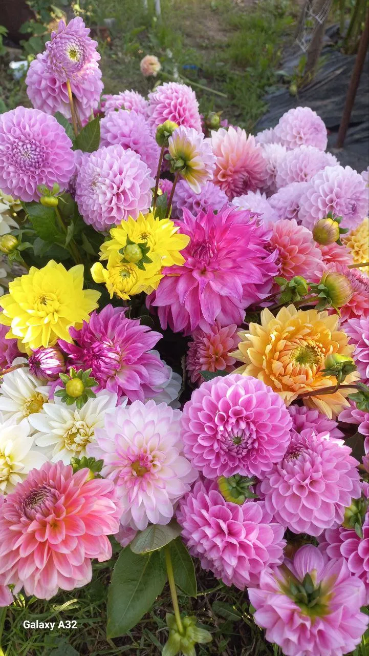 Доброе утро друзья! 🤗🌸