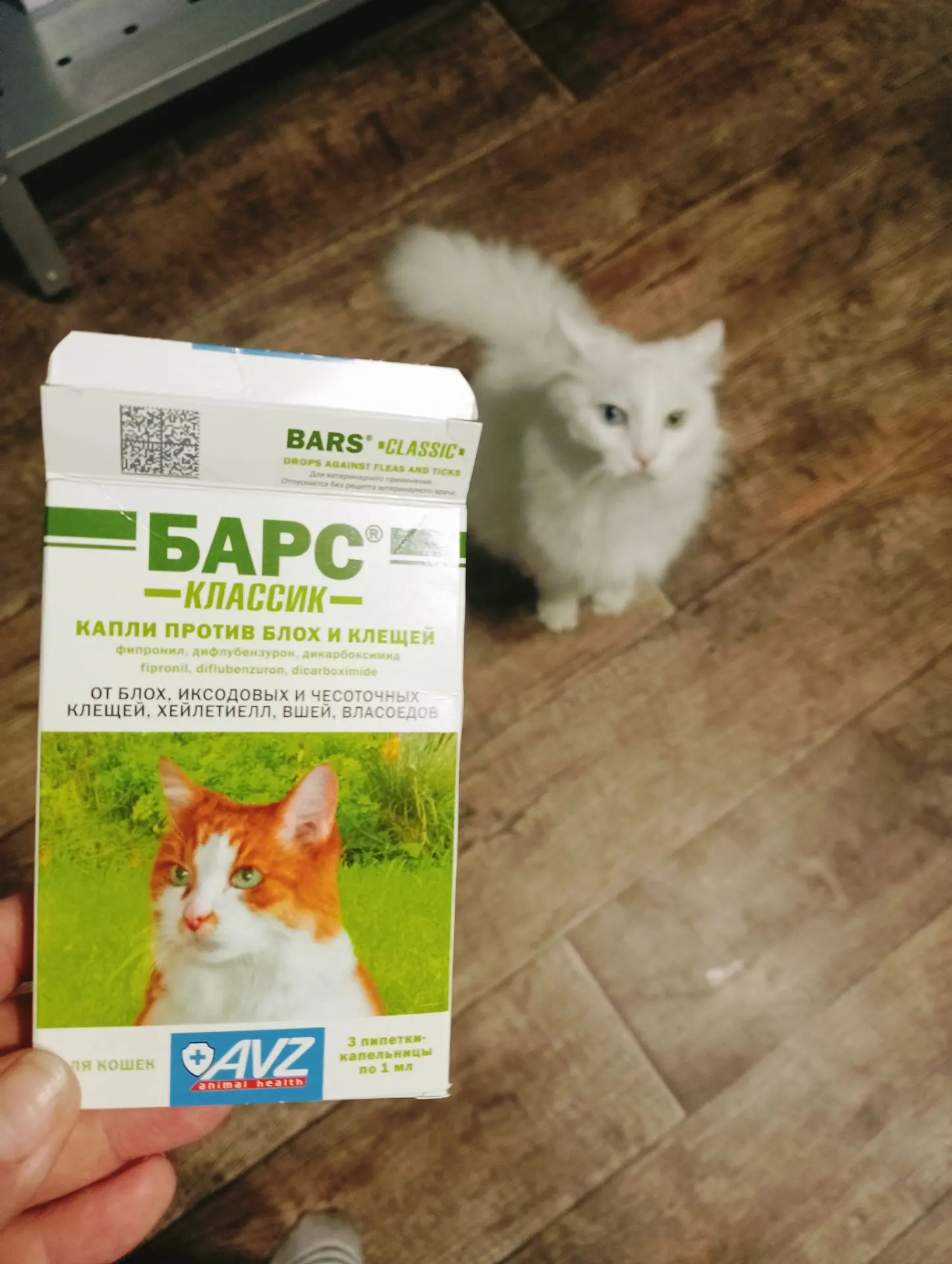 У нас Барсика блохи одолели 🤦🏻‍♀️ хоть и на улицу не выходит. Видимо мы ему с улицы п...