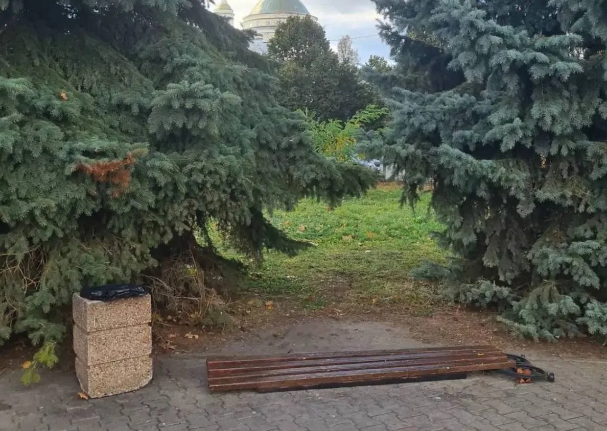 В центре Орла, в сквере Ермолова, сложности с лавочками: где-то их совсем нет, а где-то...