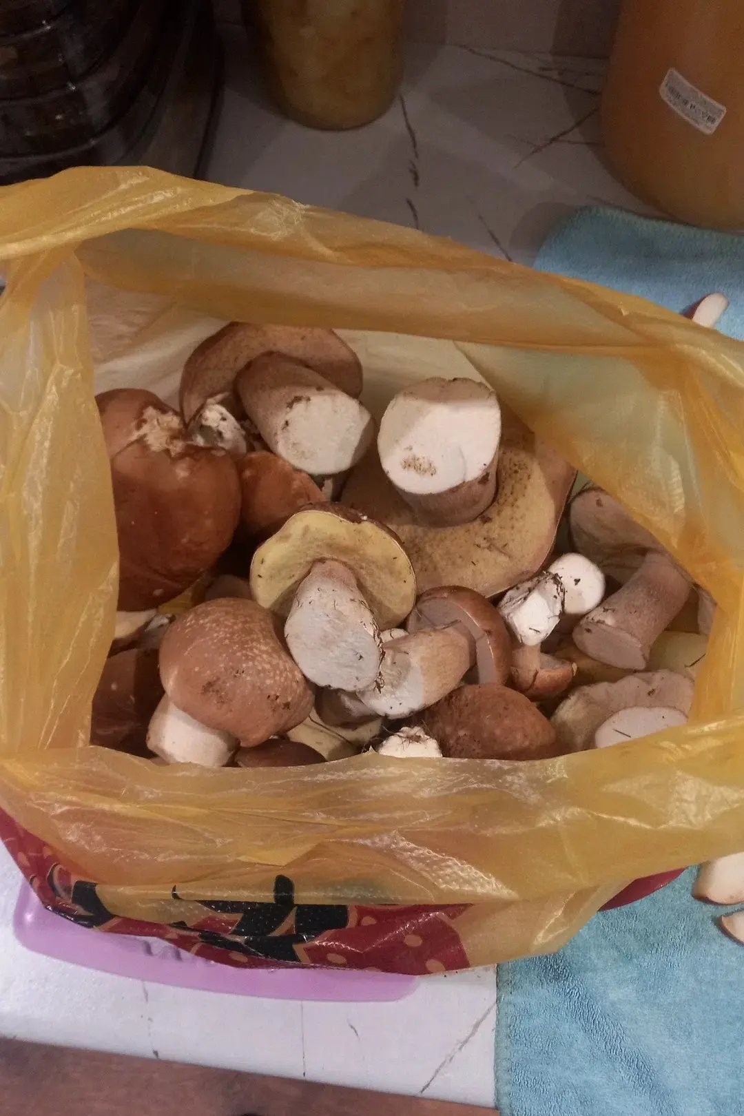 Рязанская обл Сапожок полно белых