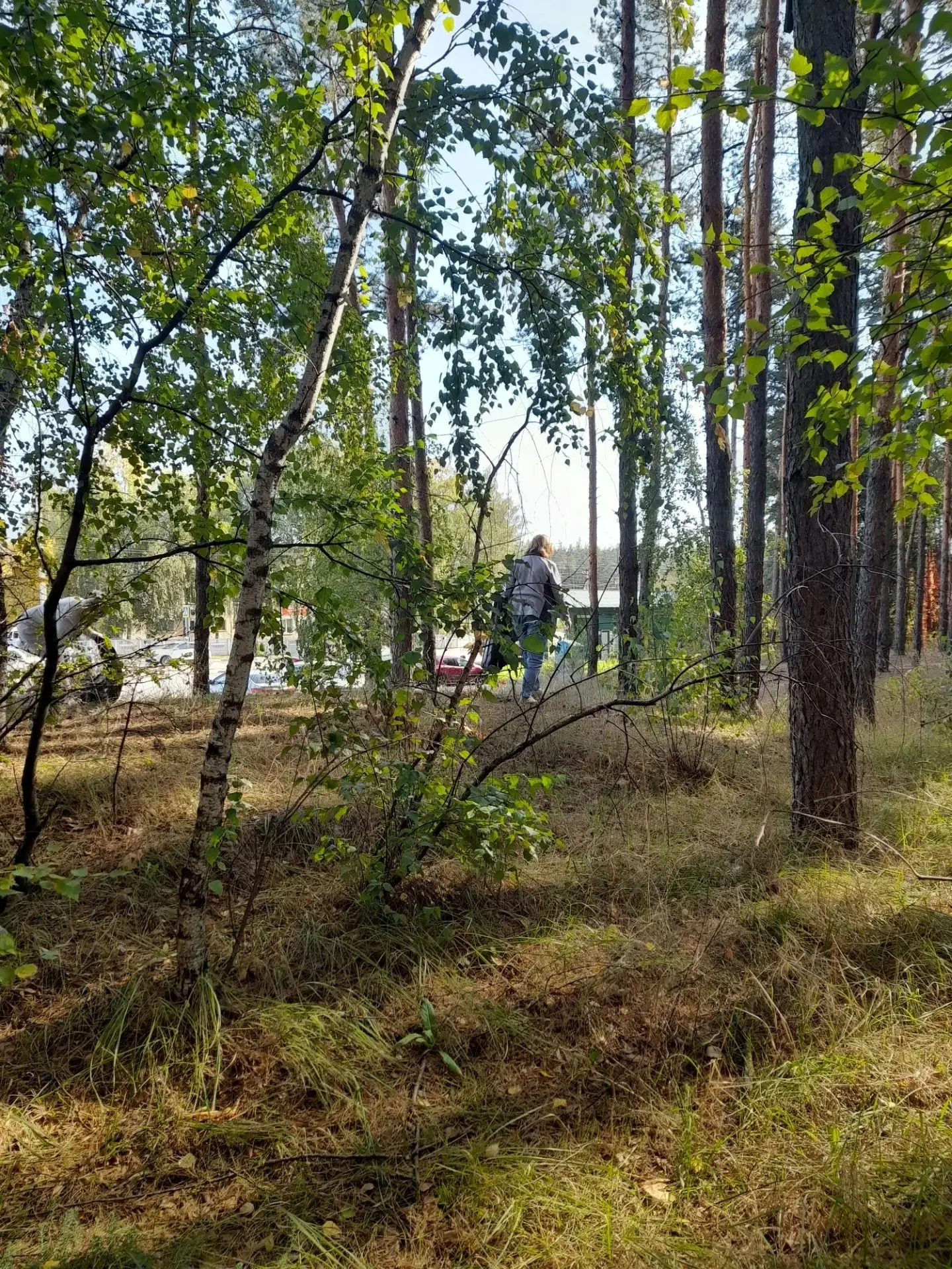 Сотрудники больницы вышли на субботник! 🧹