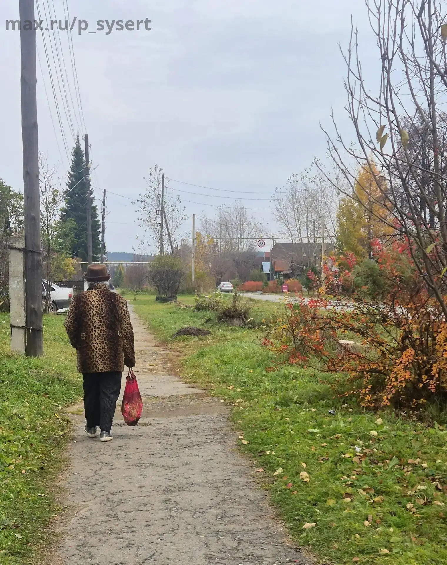 Заранее извиняюсь за то, что сделала фото, но не могу не поделиться:)