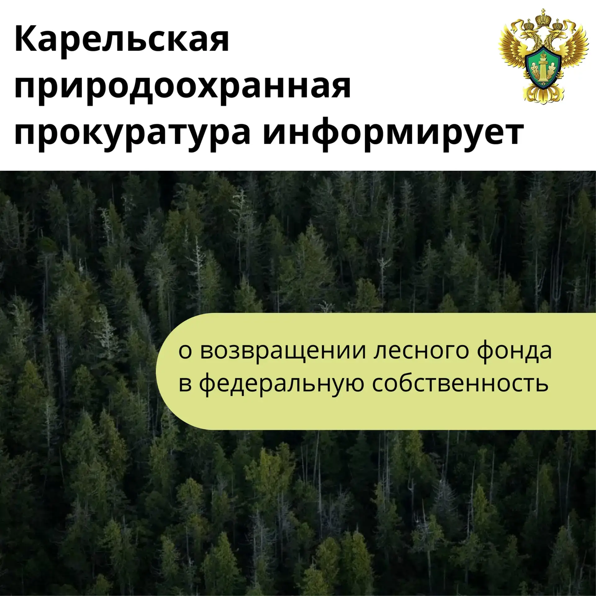 Карельская природоохранная прокуратура добилась возвращения лесного фонда в федеральную...